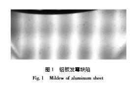 1589036555973858.jpg 圖一.jpg